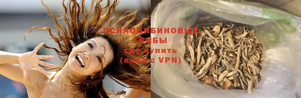 спайс Гусь-Хрустальный