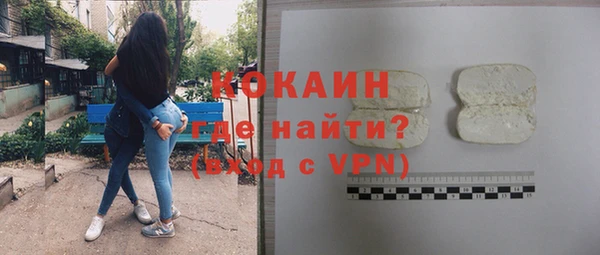 круглые Гусев