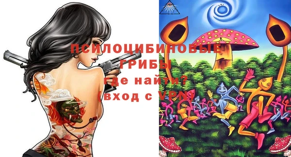 спайс Гусь-Хрустальный