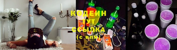 круглые Гусев