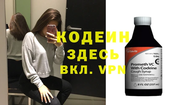 круглые Гусев