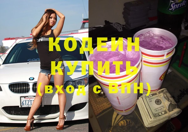 круглые Гусев