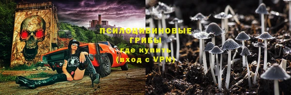 спайс Гусь-Хрустальный