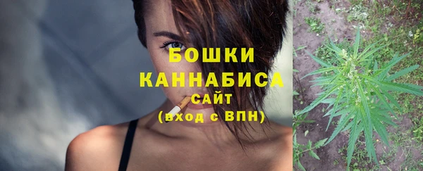 спайс Гусь-Хрустальный