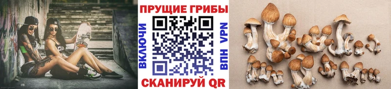 Псилоцибиновые грибы Magic Shrooms  Купить  Очёр 